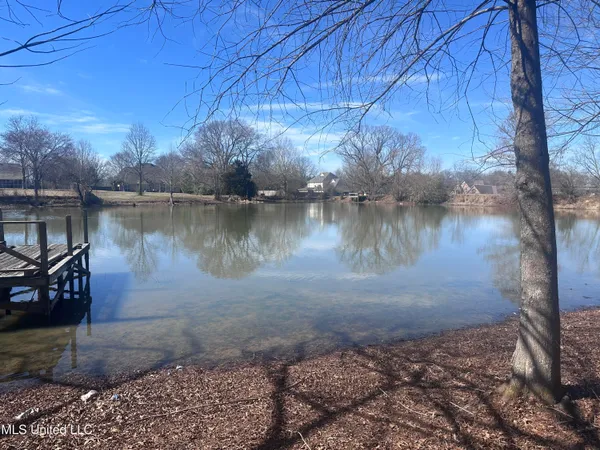 $299,999 | 110 Annandale Drive, Senatobia, MS 38668