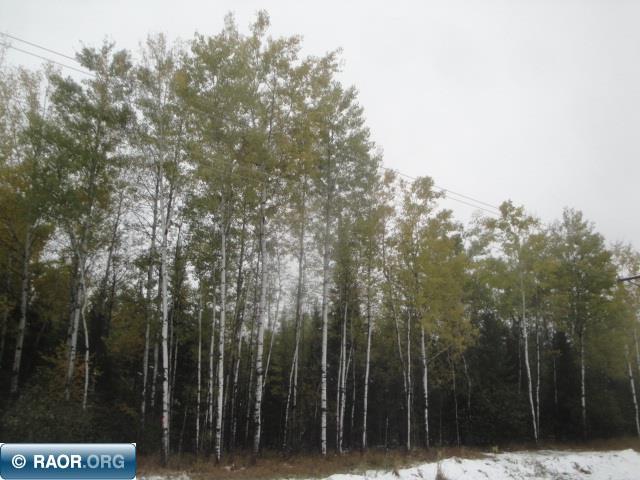 Mckinley Road Gilbert, MN 55741 - Photo 2 of 8