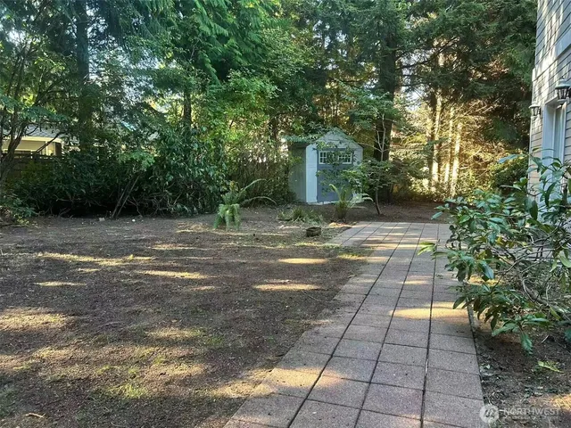 a view of a yard with plants