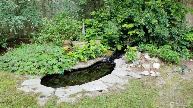 a bunch of flowers in a garden