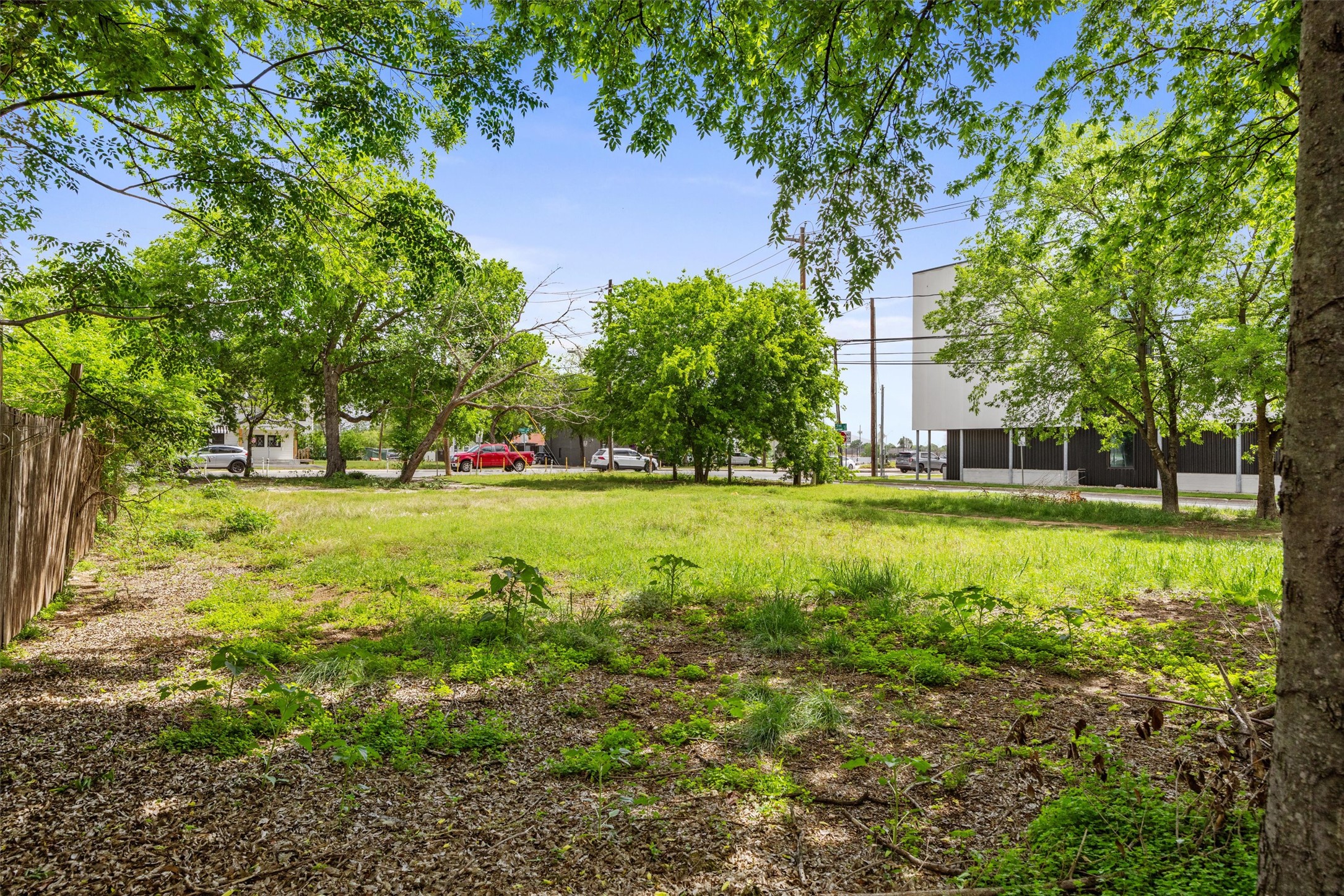 945 East 51st Street Austin, TX 78751 - Photo 8 of 10 View of yard