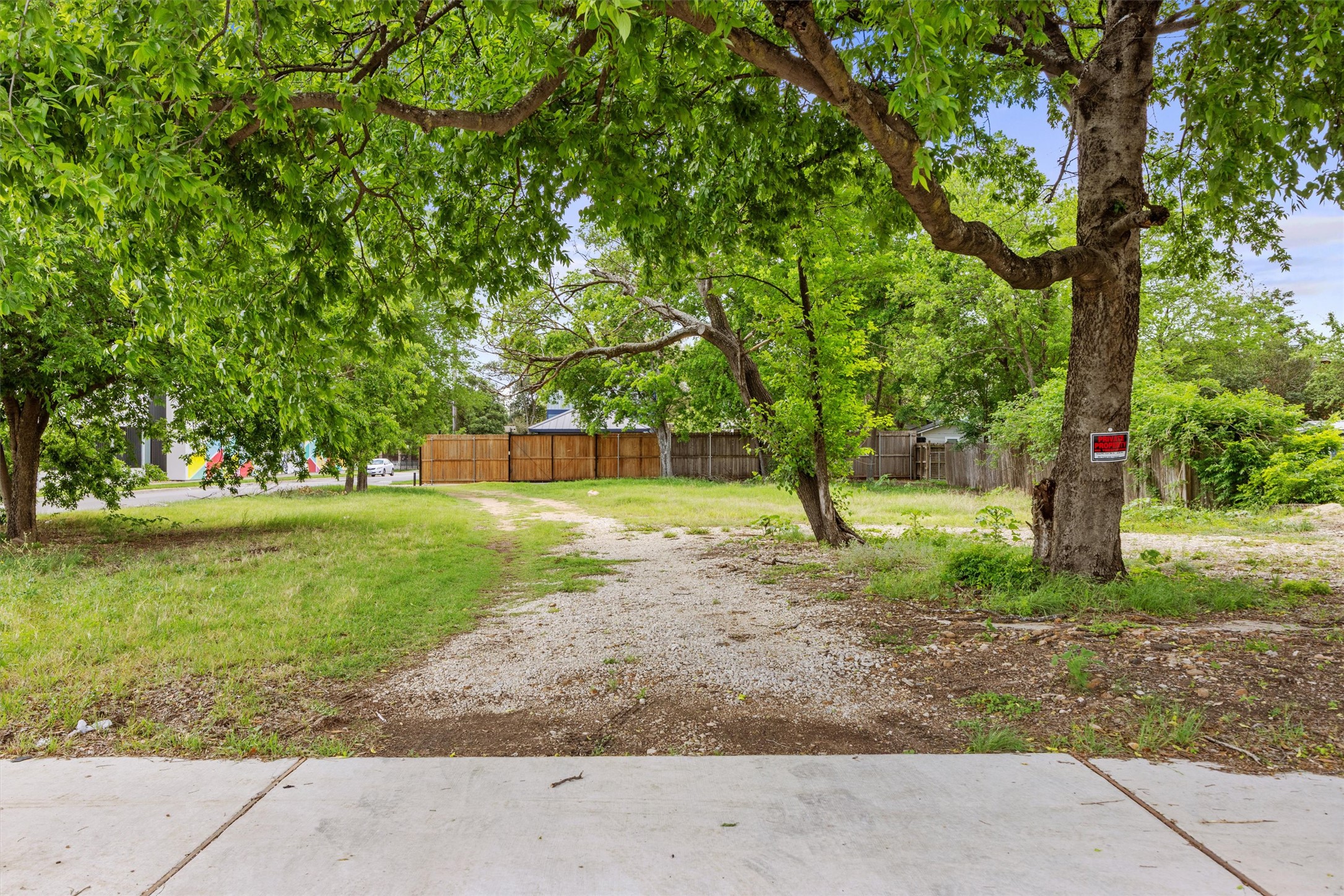945 East 51st Street Austin, TX 78751 - Photo 9 of 10 View of yard