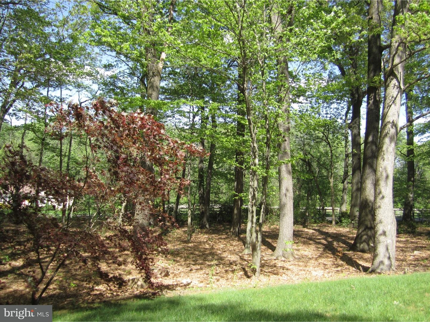 488 Porters Mill Road Pottstown, PA 19465 - Photo 25 of 25 Back Yard