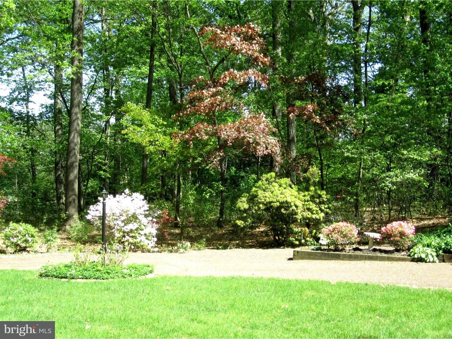 488 Porters Mill Road Pottstown, PA 19465 - Photo 5 of 25 Side Yard