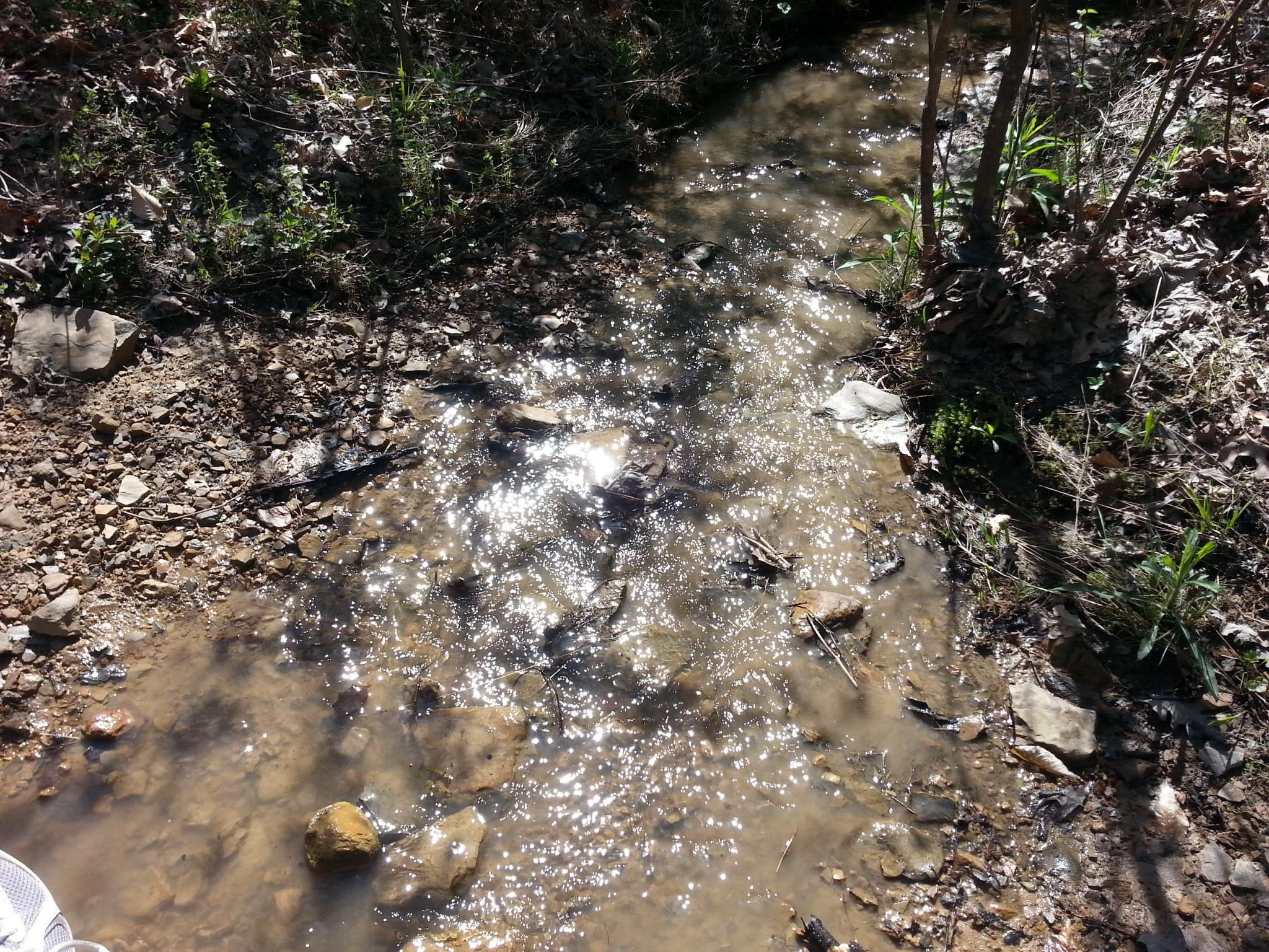 0 Flat Branch Road Tracy City, TN 37387 - Photo 4 of 9 Gallery Image 4
