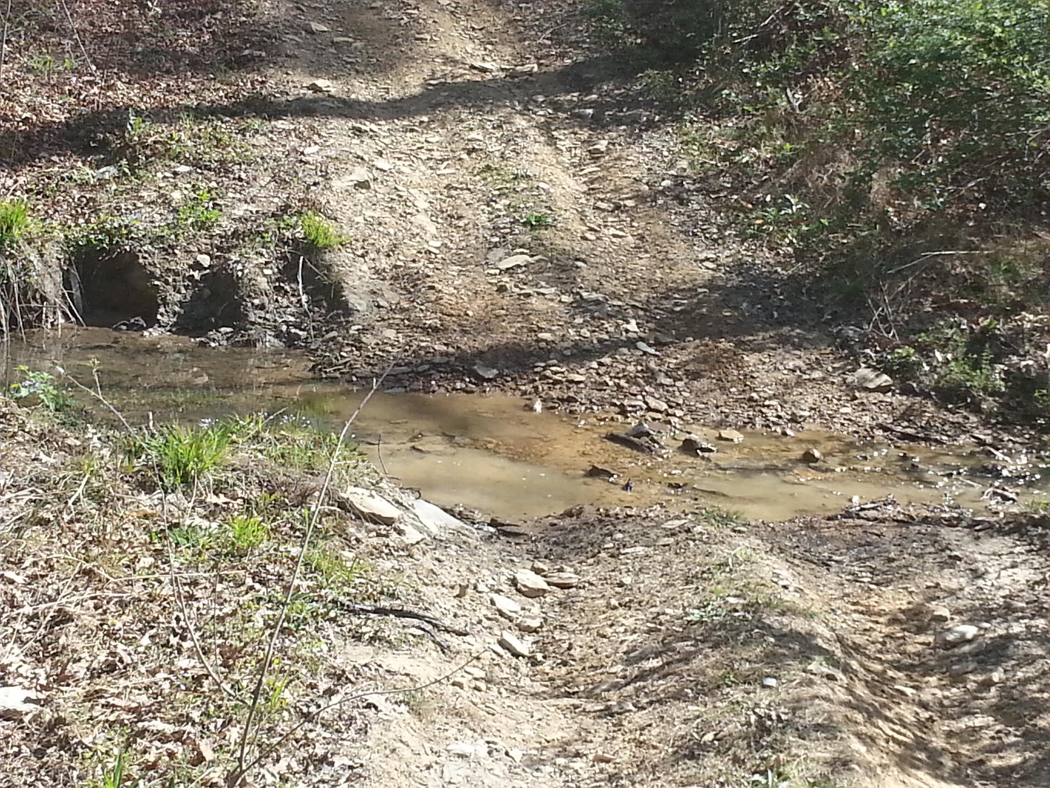 0 Flat Branch Road Tracy City, TN 37387 - Photo 6 of 9 Gallery Image 6