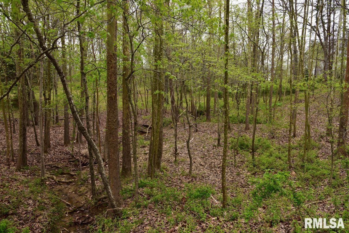 22 Roundhouse Road Herod, IL 62947 - Photo 43 of 52