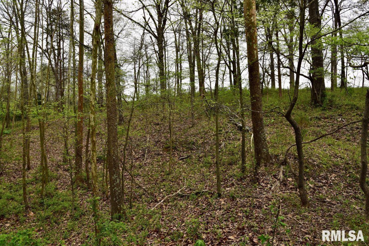22 Roundhouse Road Herod, IL 62947 - Photo 45 of 52
