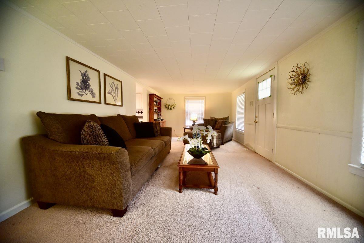 22 Roundhouse Road Herod, IL 62947 - Photo 9 of 52