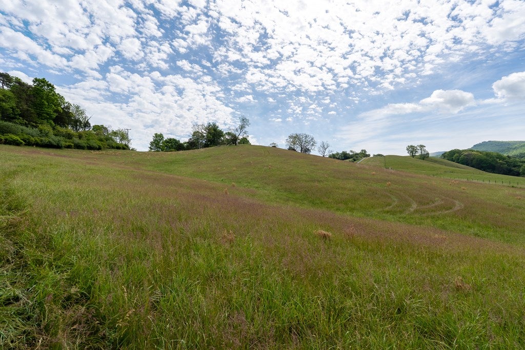 Tbd Reed Creek Mill Road Wytheville, VA 24382 - Photo 5 of 22 Gallery Image 5