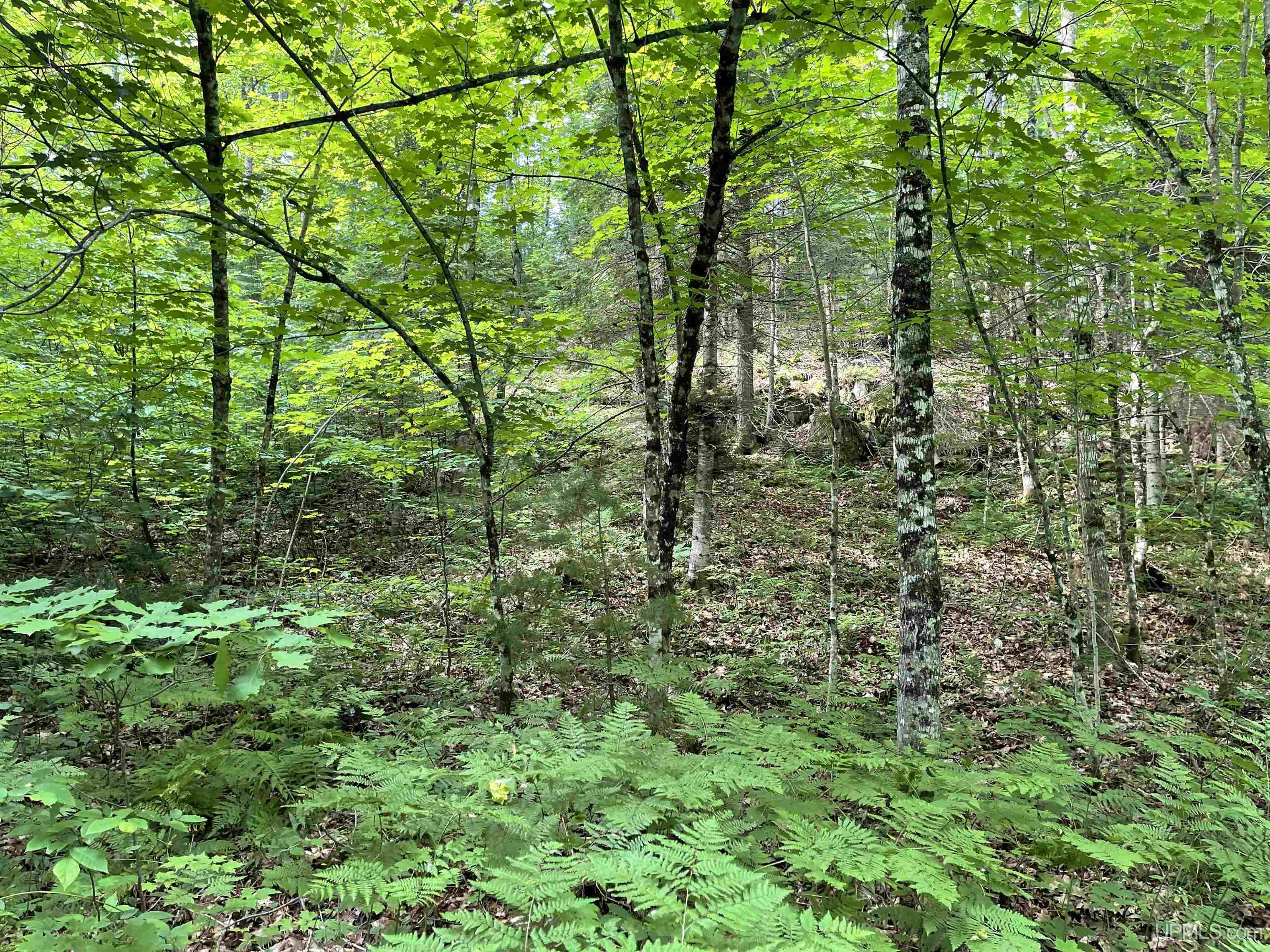24-acres Cooper Lake Road Ishpeming, MI 49849 - Photo 5 of 13