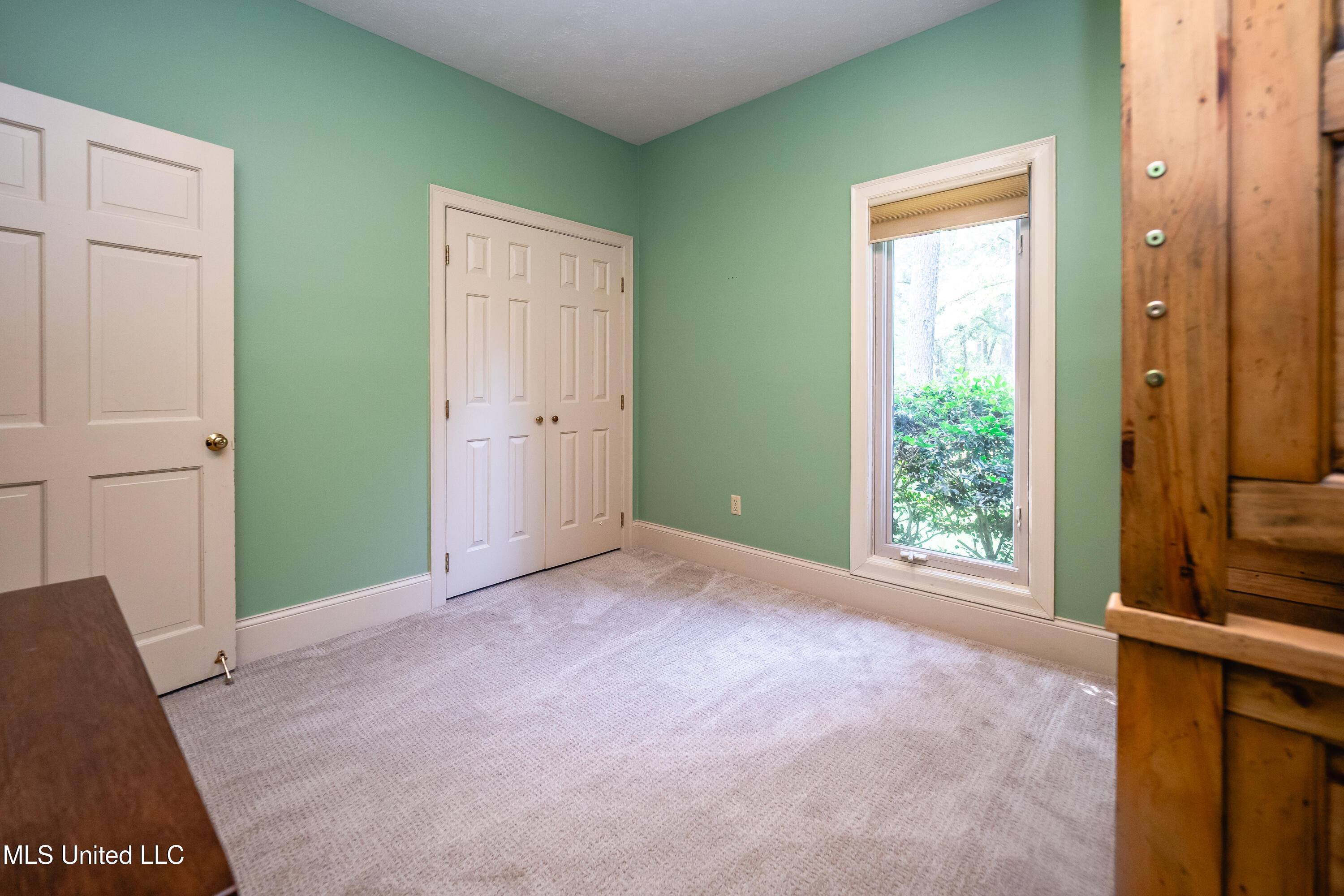 6147 Wirtz Road Flowood, MS 39232 - Photo 29 of 54 P6110051