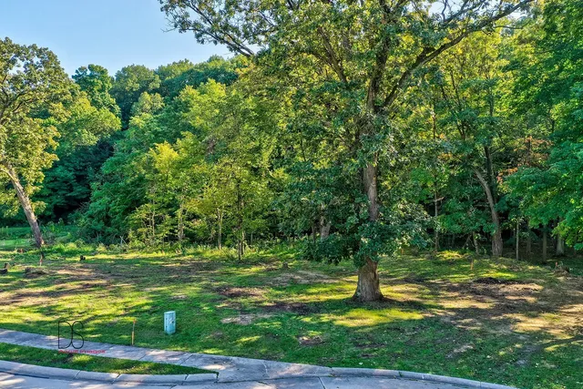 a backyard of a house with lots of green space