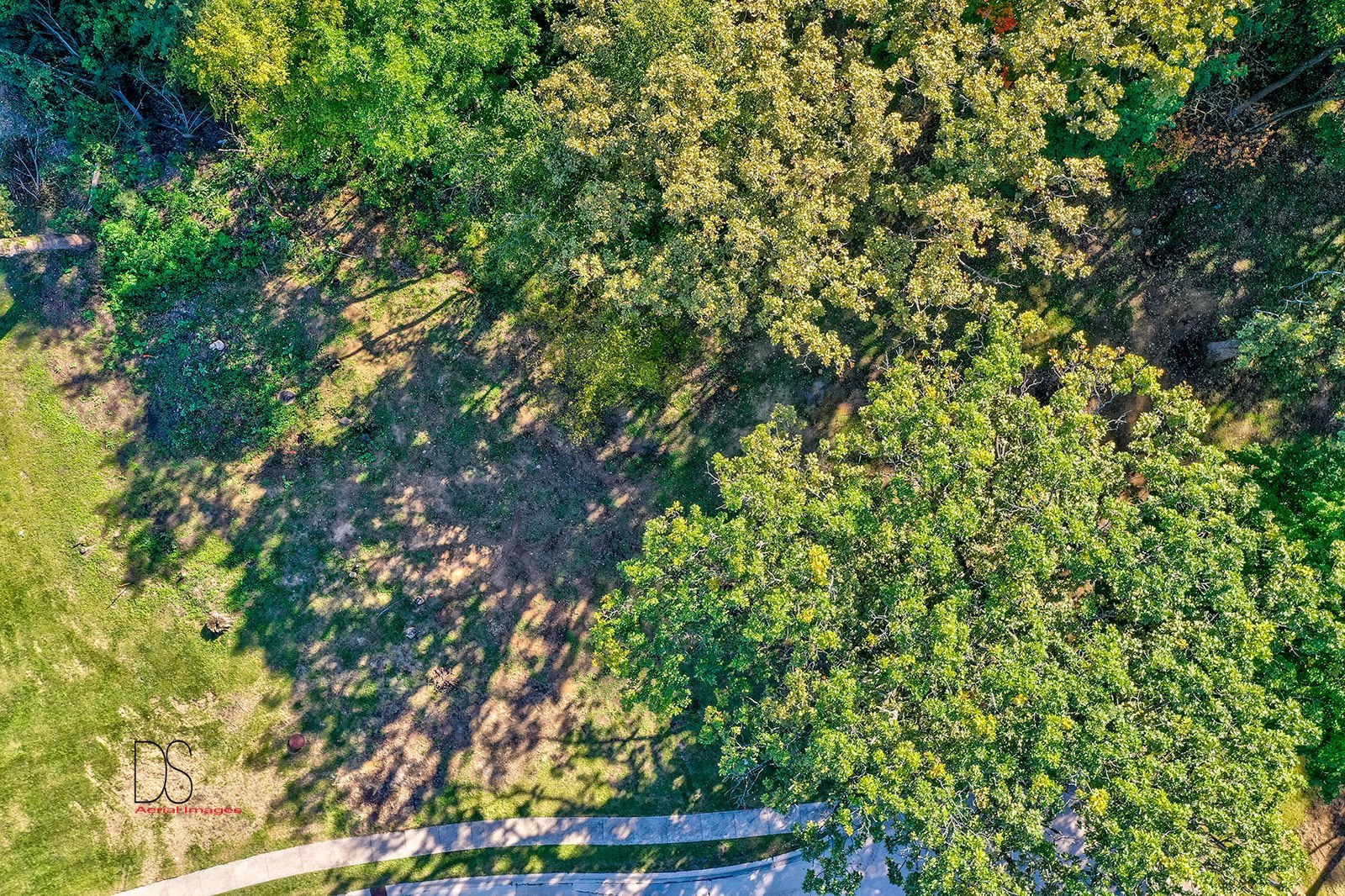 415 Deer Timber Lane Ottawa, IL 61350 - Photo 3 of 9 a view of a tree