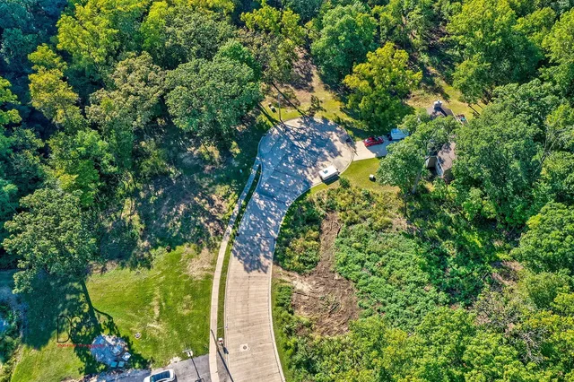 an aerial view of green landscape with trees