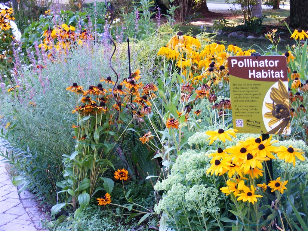 7 Alcorn Road Chelmsford, MA 01824 - Photo 38 of 42