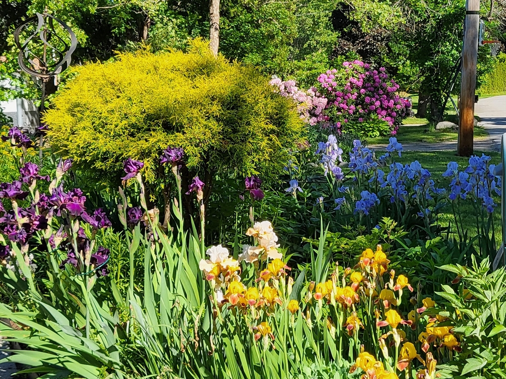 7 Alcorn Road Chelmsford, MA 01824 - Photo 39 of 42