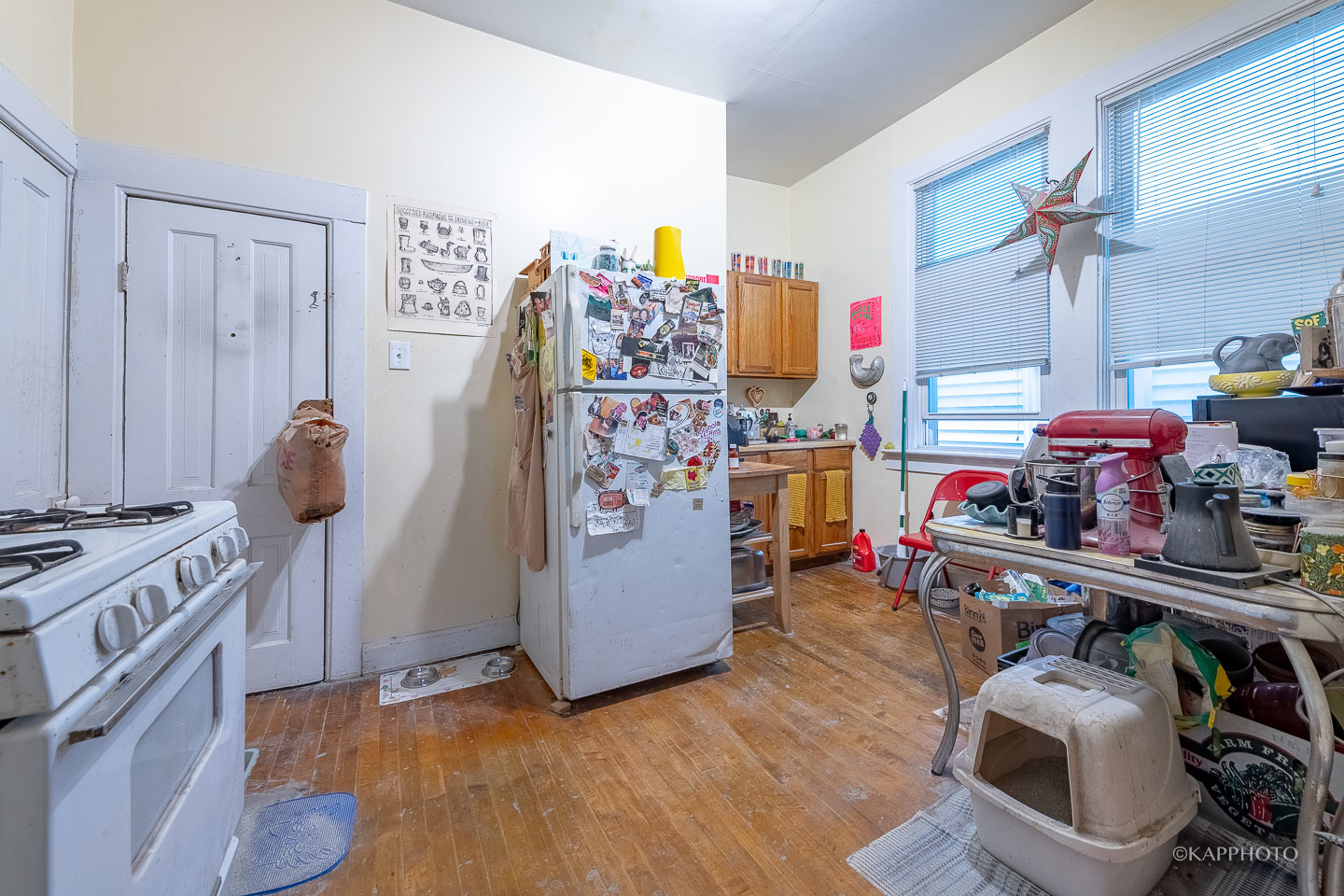 2921 South Bonfield Street Chicago, IL 60608 - Photo 6 of 28