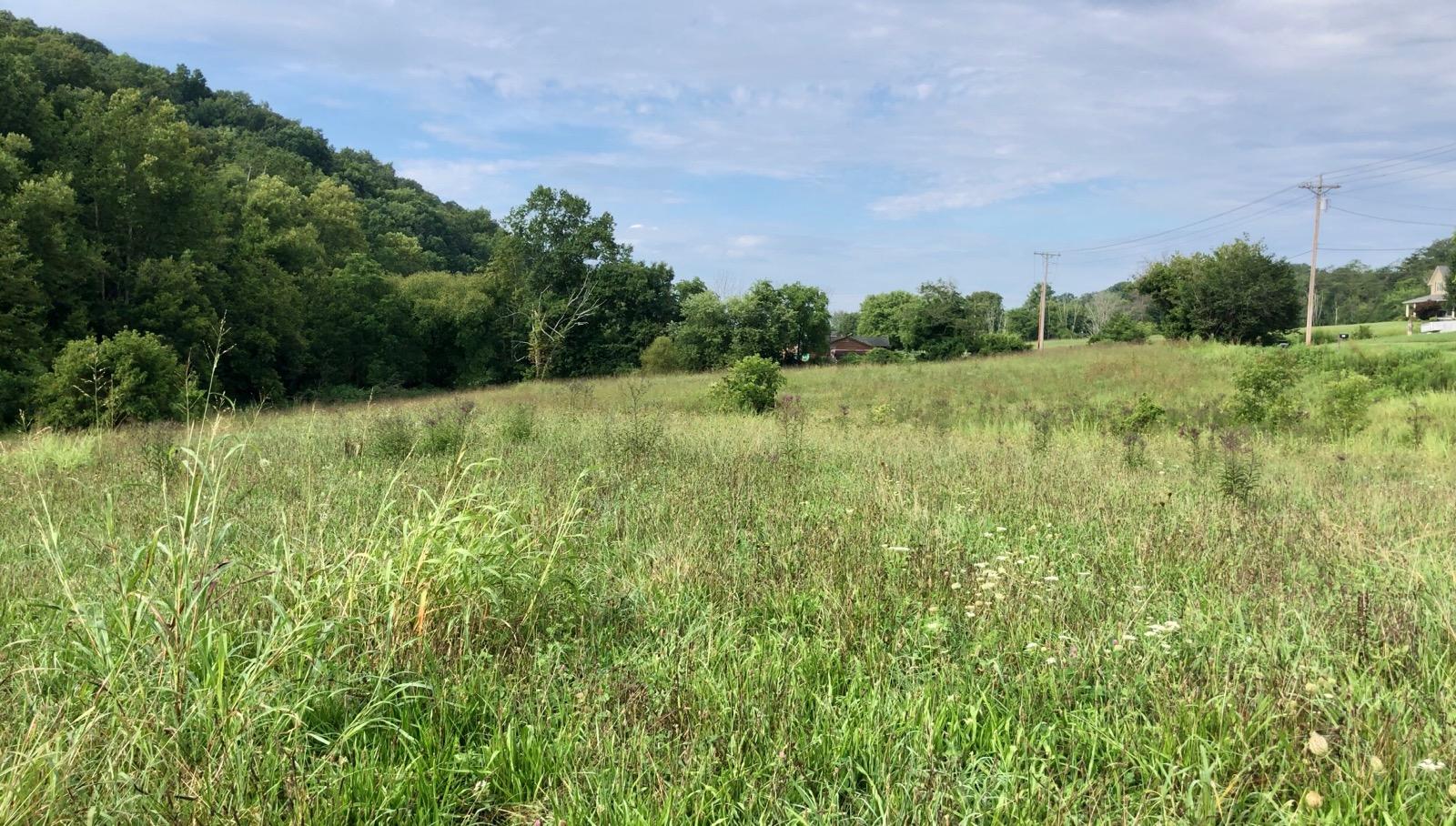 Lot 4 Hinds Creek Road Heiskell, TN 37754 - Photo 4 of 7 2020-08-27 (2)