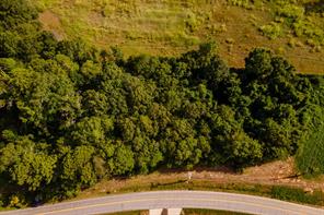 585 Mountain Road Westminster, SC 29693 - Photo 7 of 20 Discover this expansive, verdant lot offering abundant natural beauty and direct road access.