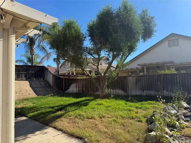 a view of backyard with potted plants and a large tree