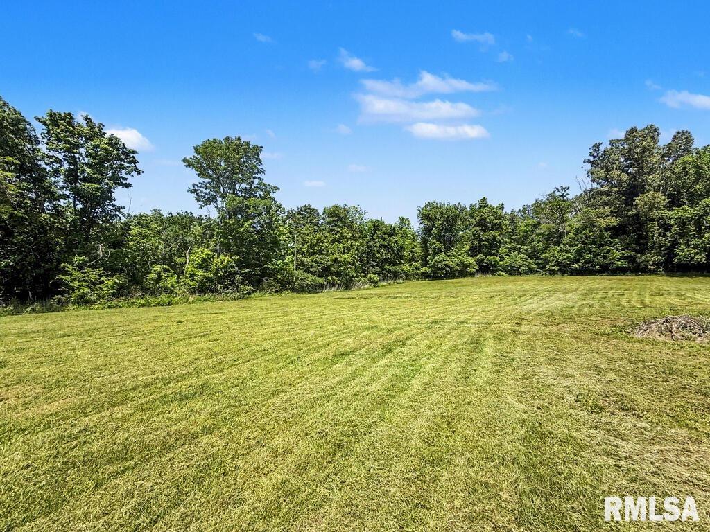 7280 Buncombe Road Buncombe, IL 62912 - Photo 28 of 33