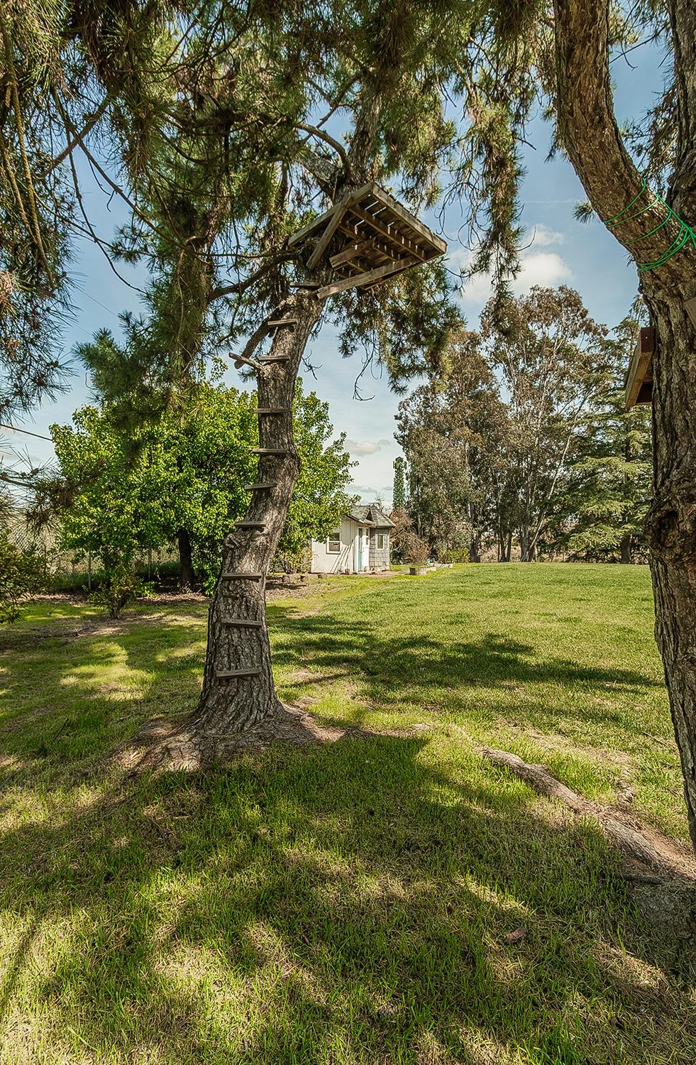 41371 Butte Way Madera, CA 93636 - Photo 70 of 84