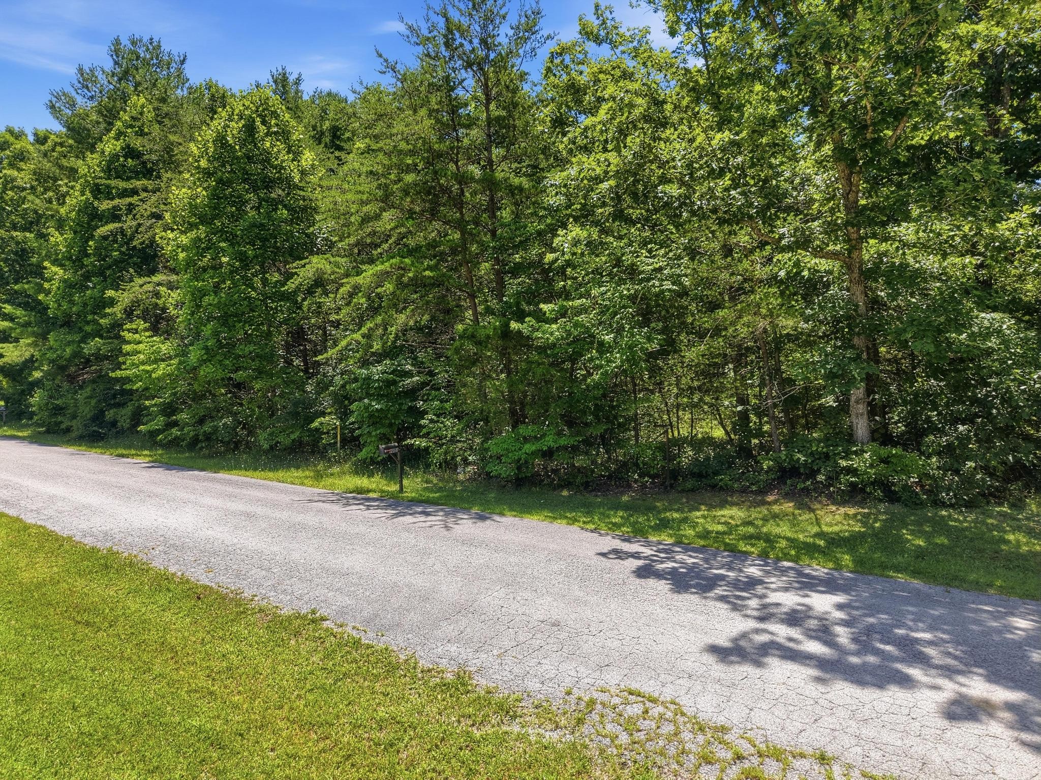 0 High Rock Loop Monterey, TN 38574 - Photo 8 of 8