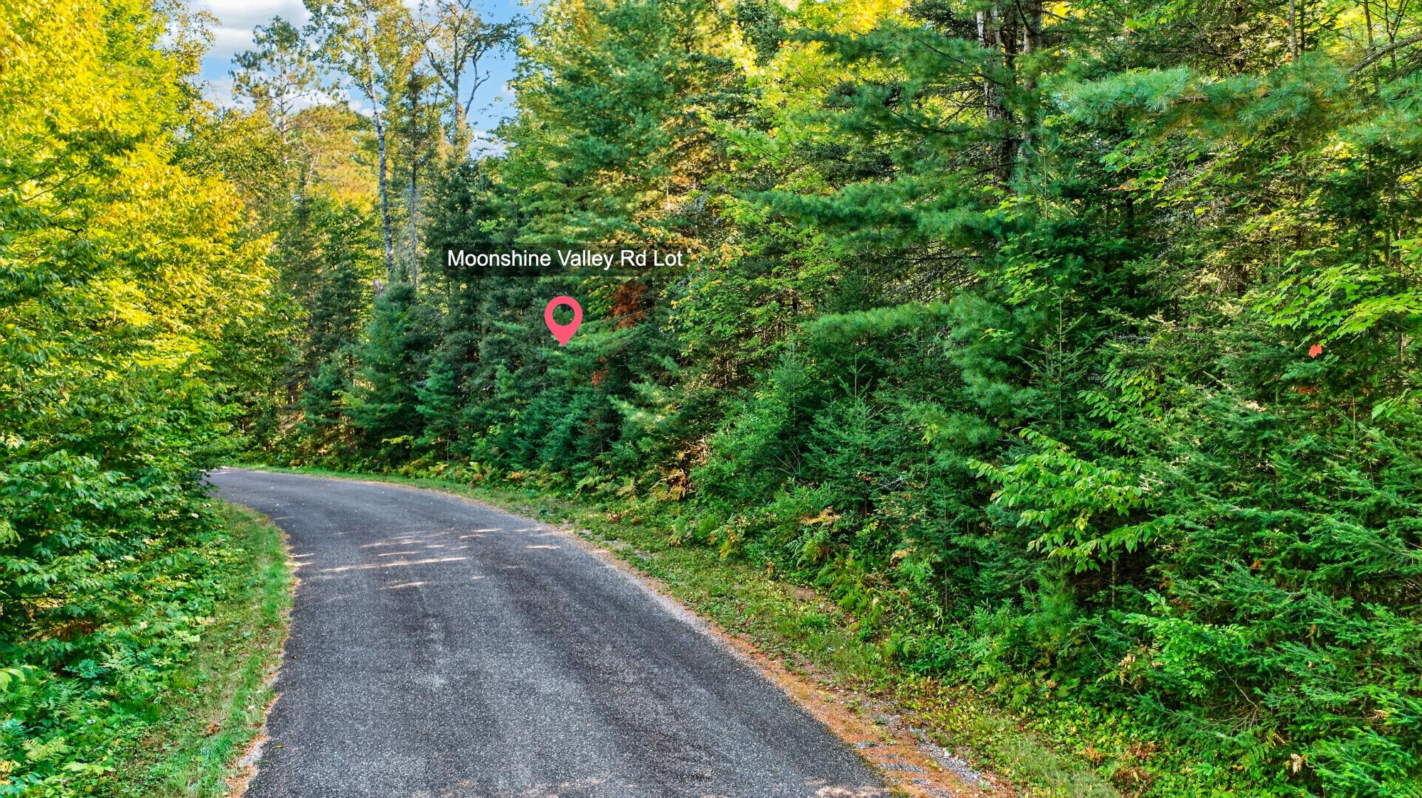 Lot On Moonshine Valley Road Presque Isle, WI 54557 - Photo 17 of 17 Gallery Image 17