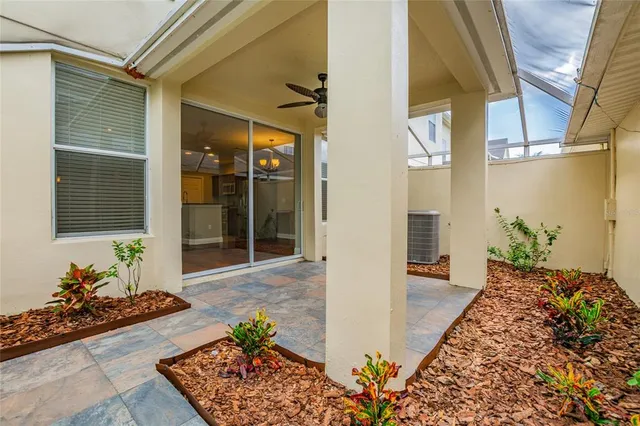 a view of a porch with a potted plant