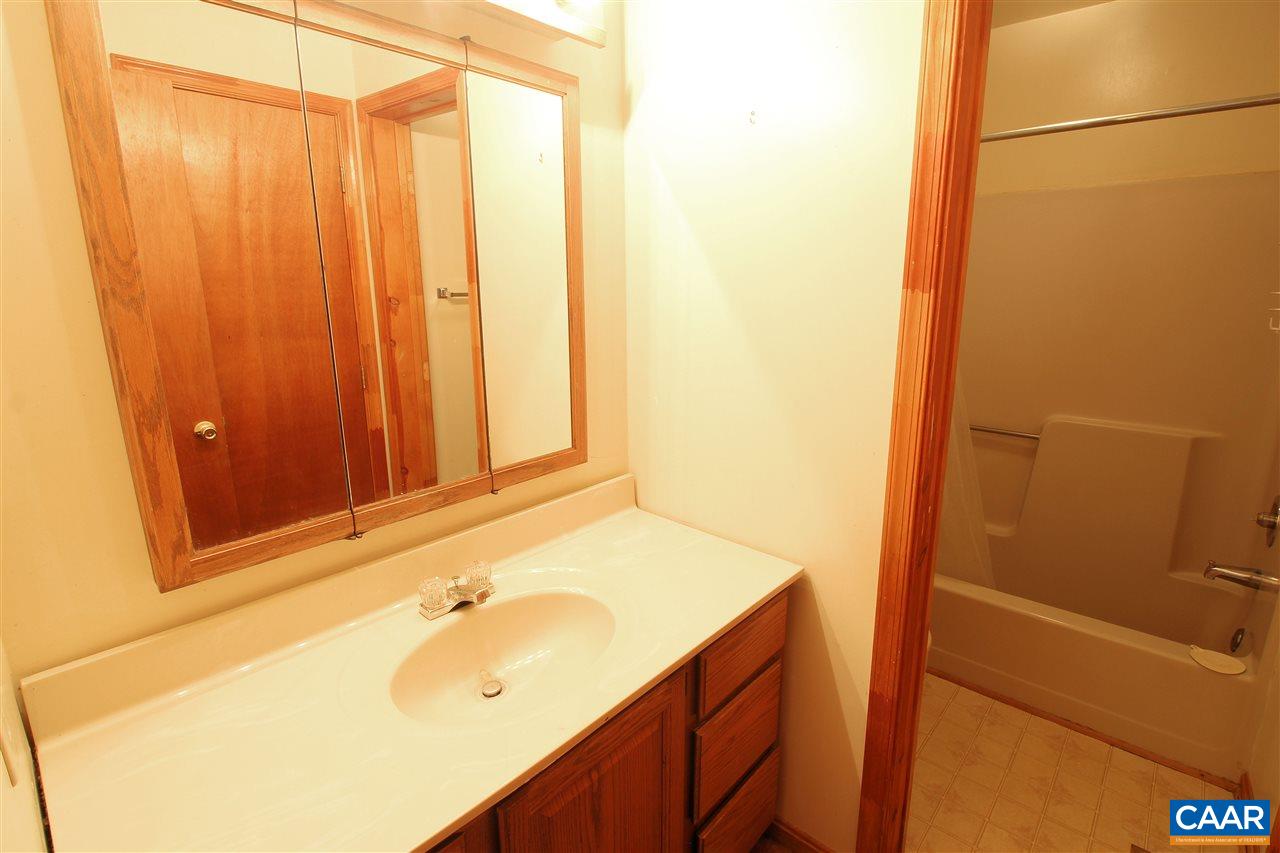 16236 Mountain Track Road Orange, VA 22960 - Photo 19 of 31 Gallery Image 19
