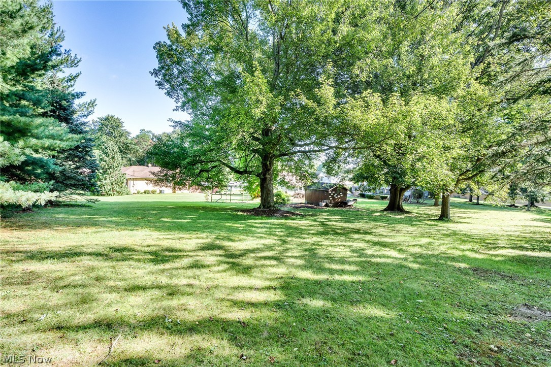 5840 Poland Struthers Road Youngstown, OH 44514 - Photo 17 of 50 Expansive yard featuring mature trees, a manicured lawn, and a storage shed