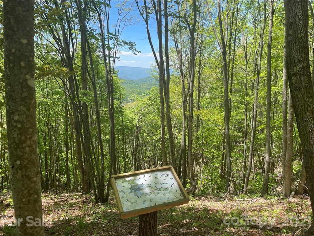 3326 Preserve Road, Unit 98 Sylva, NC 28779 - Photo 3 of 10 a view of outdoor space and garden
