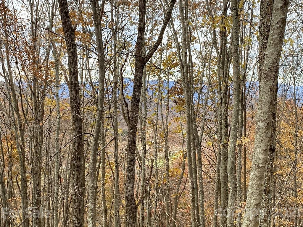 3326 Preserve Road, Unit 98 Sylva, NC 28779 - Photo 5 of 10