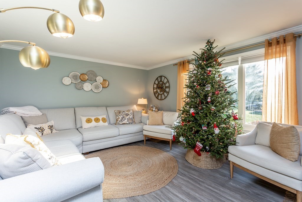 9 Village Way, Unit F Norton, MA 02766 - Photo 4 of 20 a living room with furniture and a potted plant