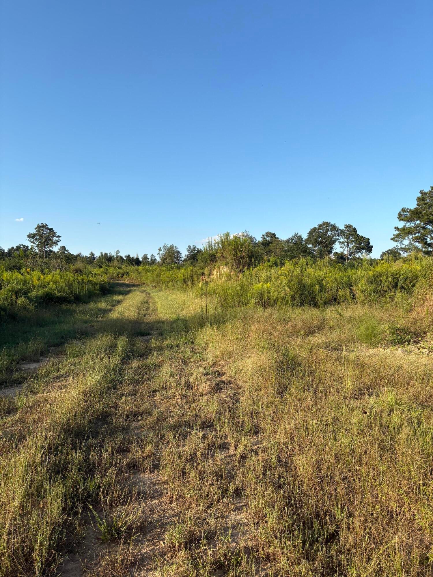 0 Sawmill Road Sandy Hook, MS 39478 - Photo 8 of 17 Gallery Image 8