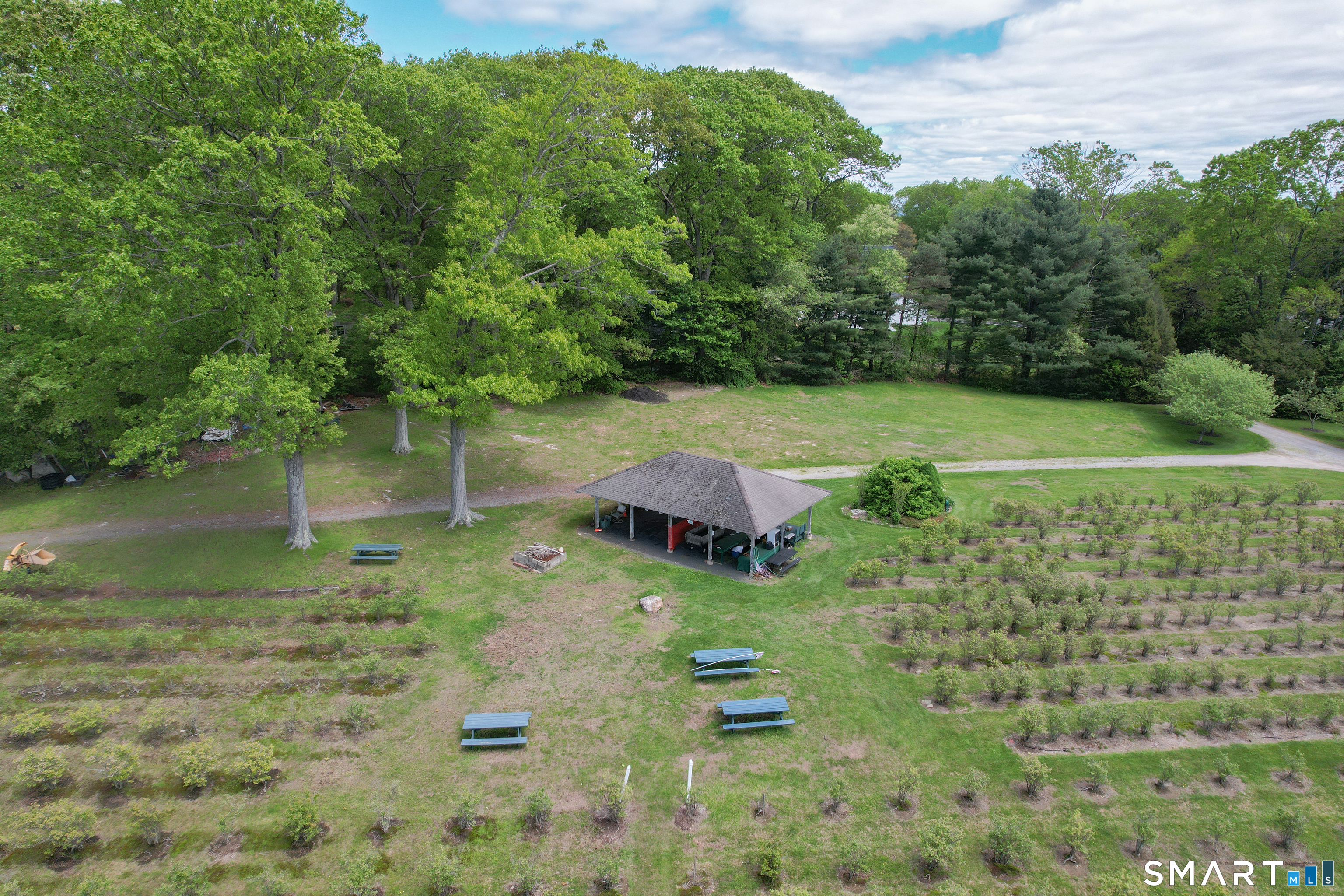 23 Schroback Road Plymouth, CT 06782 - Photo 34 of 38