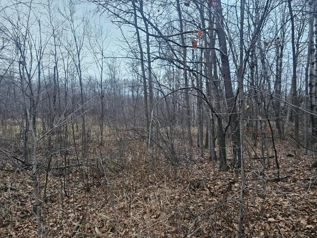 $179,900 | 30 County Road 30, Aitkin, MN 56431