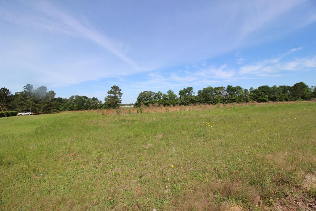 4408 Wilson Road Hephzibah, GA 30815 - Photo 7 of 14
