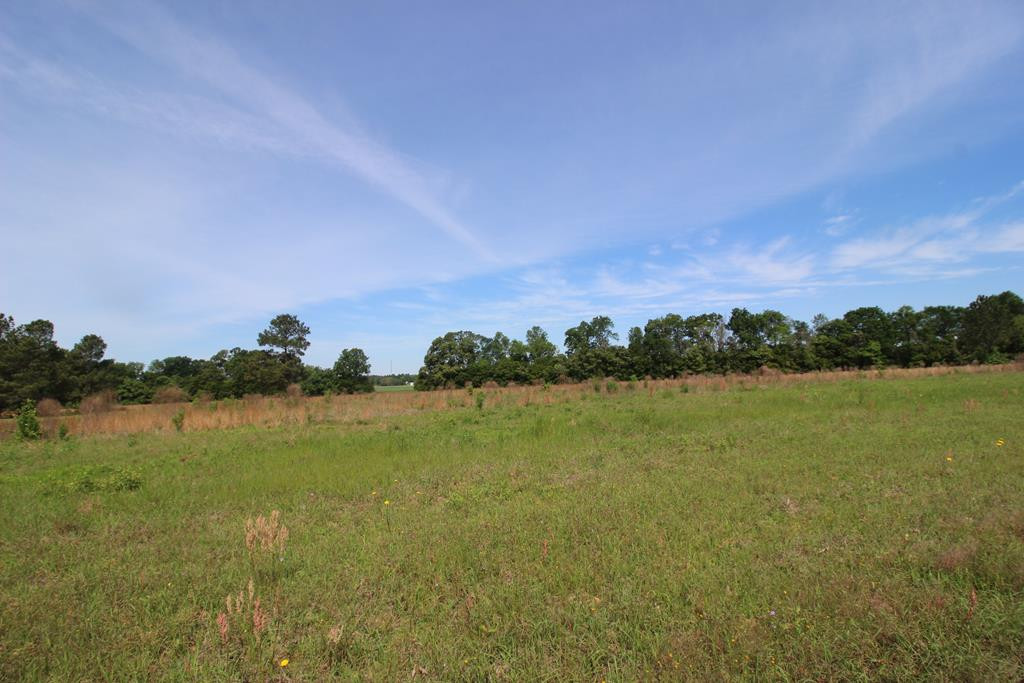 4408 Wilson Road Hephzibah, GA 30815 - Photo 8 of 14