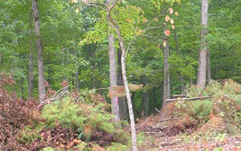 12 Hood Acres Road Young Harris, GA 30582 - Photo 1 of 1 Main View