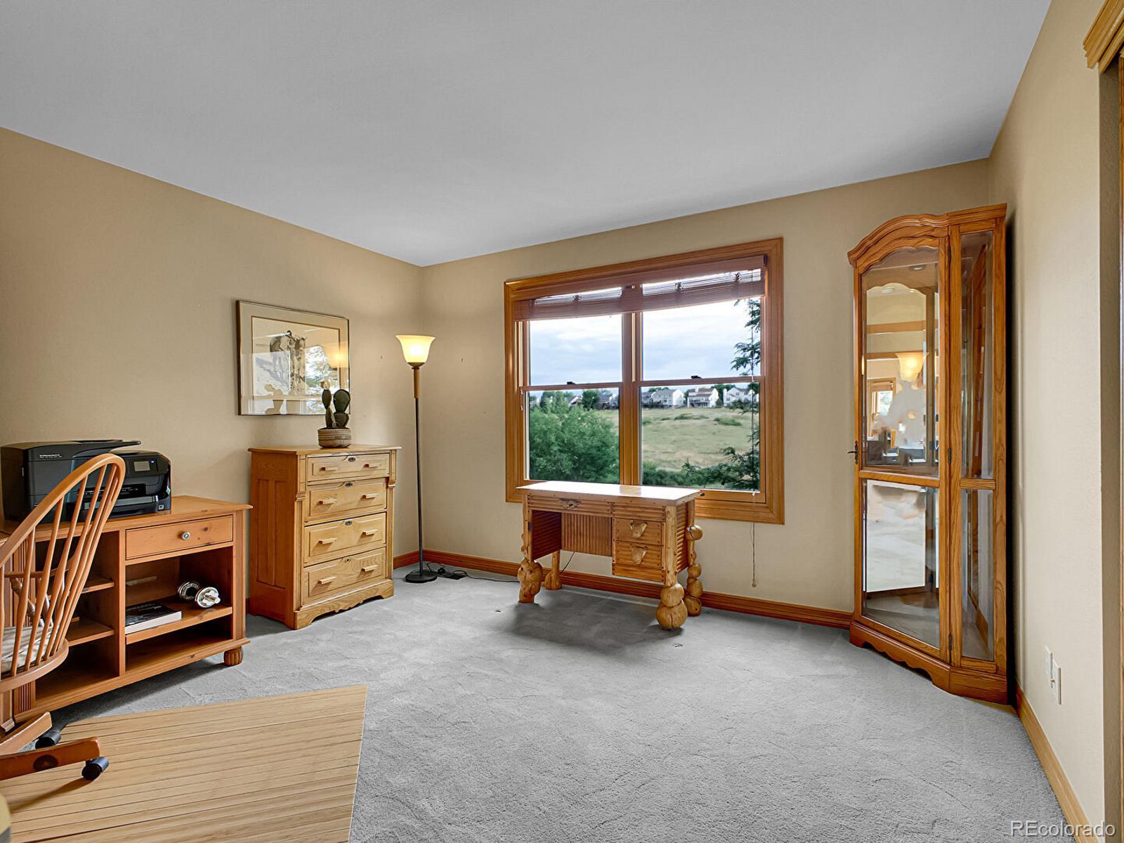 2074 Terrace Drive Highlands Ranch, CO 80126 - Photo 26 of 50 Gallery Image 26