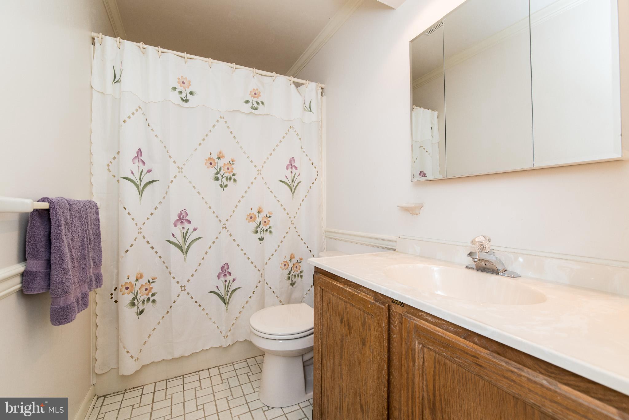 17201 Hunter Green Road Upperco, MD 21155 - Photo 22 of 30 a bathroom with a sink and a toilet