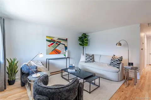 a room with furniture and a potted plant