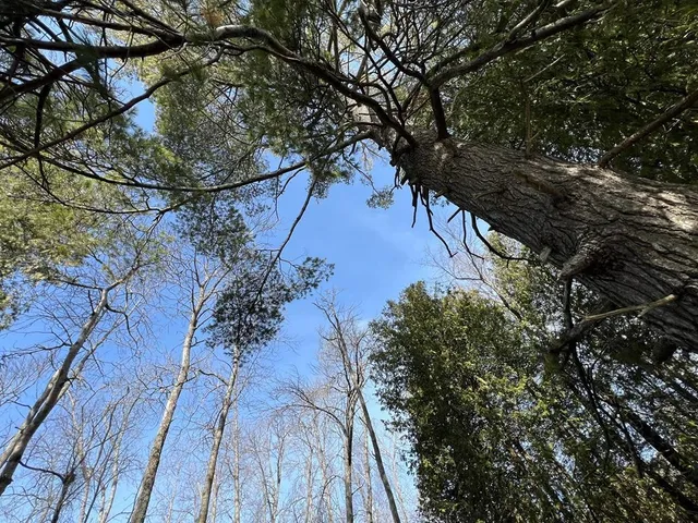 $10,280,000 | Logerquist Road, Baileys Harbor, WI 54202