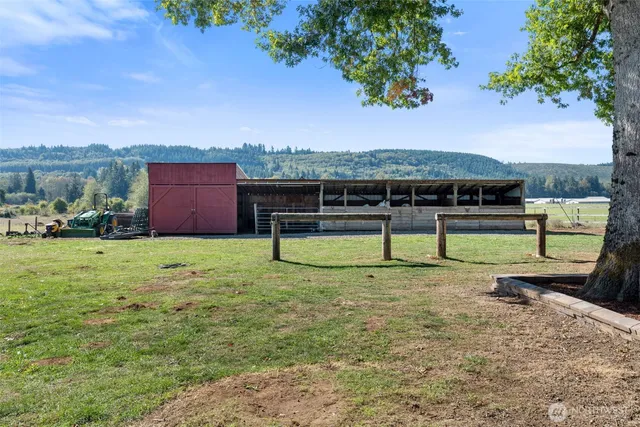 a view of a backyard
