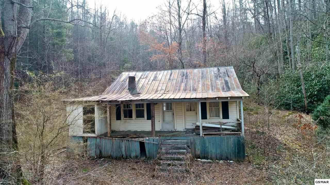 1 Reece Hollow Road Del Rio, TN 37727 - Photo 11 of 32 Gallery Image 11