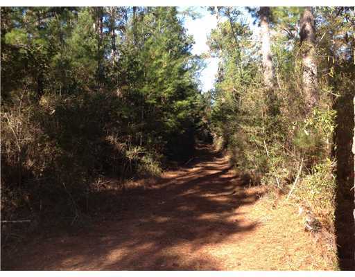 280 West Wilkerson Ferry Road Lucedale, MS 39452 - Photo 1 of 4 Primary Photo