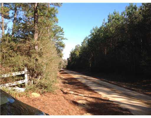 280 West Wilkerson Ferry Road Lucedale, MS 39452 - Photo 2 of 4 Additional Photo