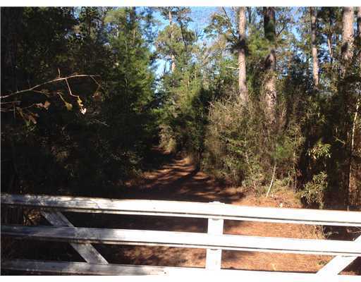 280 West Wilkerson Ferry Road Lucedale, MS 39452 - Photo 3 of 4 Additional Photo